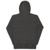 unisex-premium-pullover-hoodie-charcoal-heather-back-6a8fb6d78c639.jpg Sine Nomine Hoodie