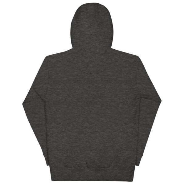 unisex-premium-pullover-hoodie-charcoal-heather-back-6a8fb6d78c639.jpg Sine Nomine Hoodie