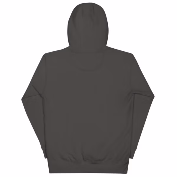 unisex-premium-pullover-hoodie-vintage-black-back-6a8fb6d78e5d1.jpg Sine Nomine Hoodie
