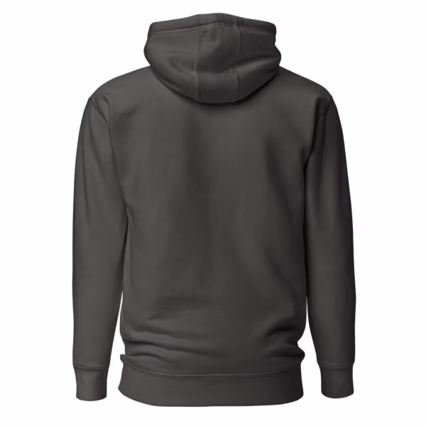 Ascensus Fractus Hoodie